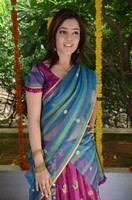 Nisha Agarwal Saree Photos